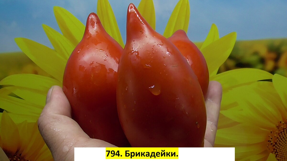 -106