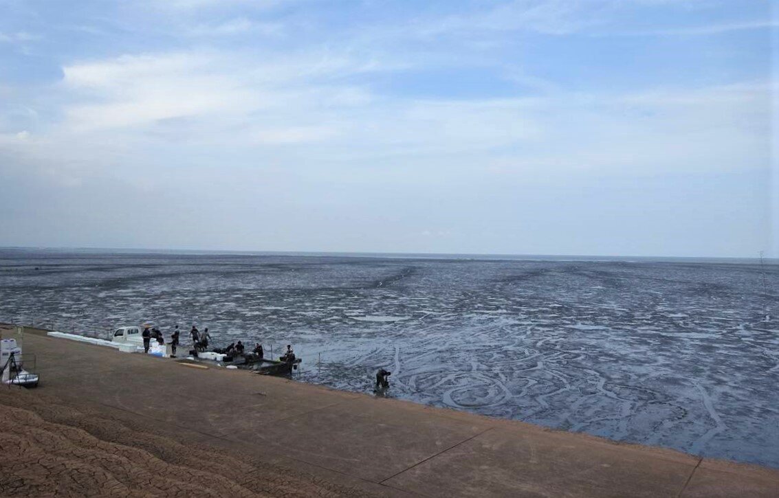 Рыбаки во время отлива. Грязевые приливные равнины моря Ариаке
