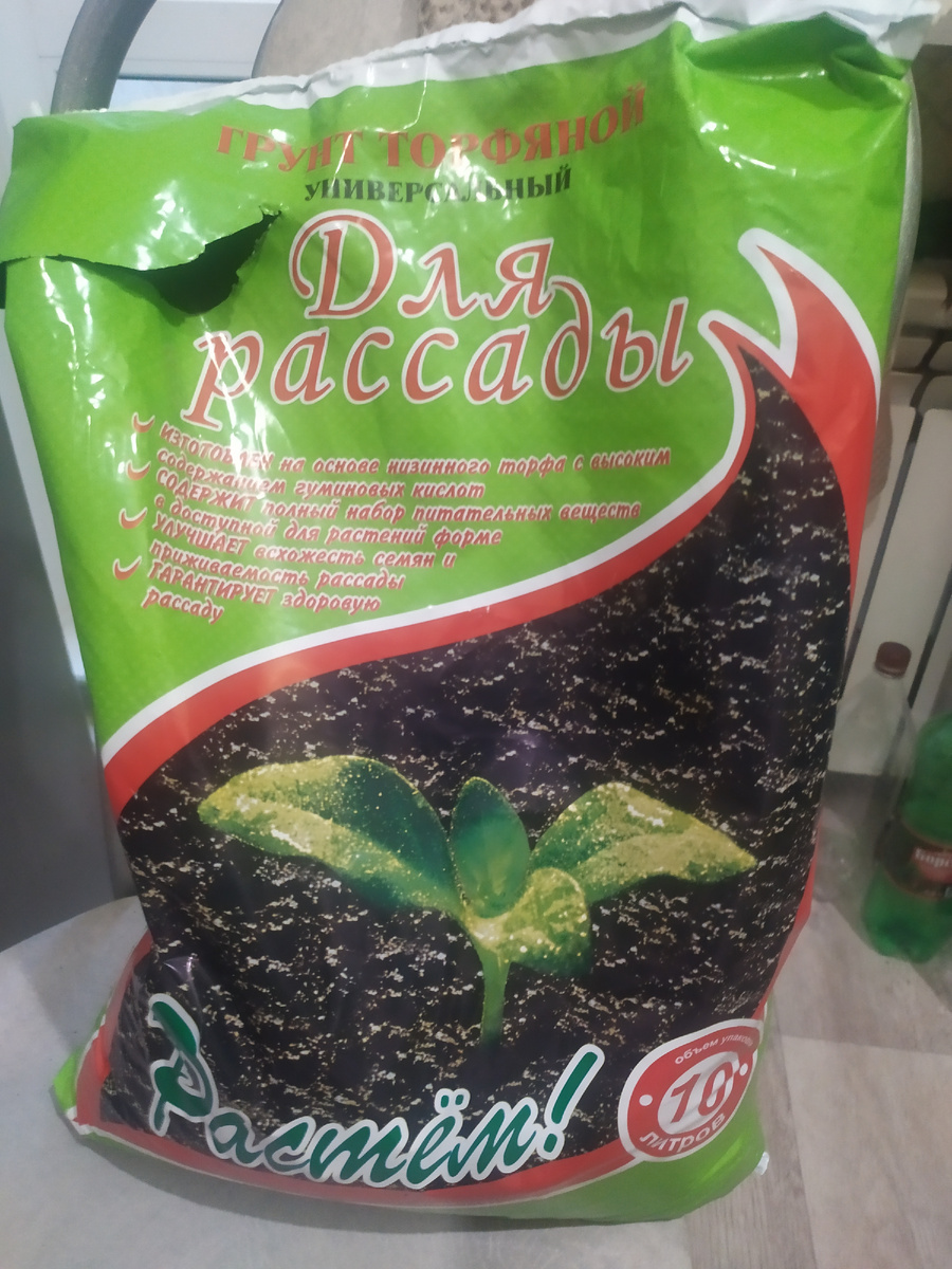 Грунт