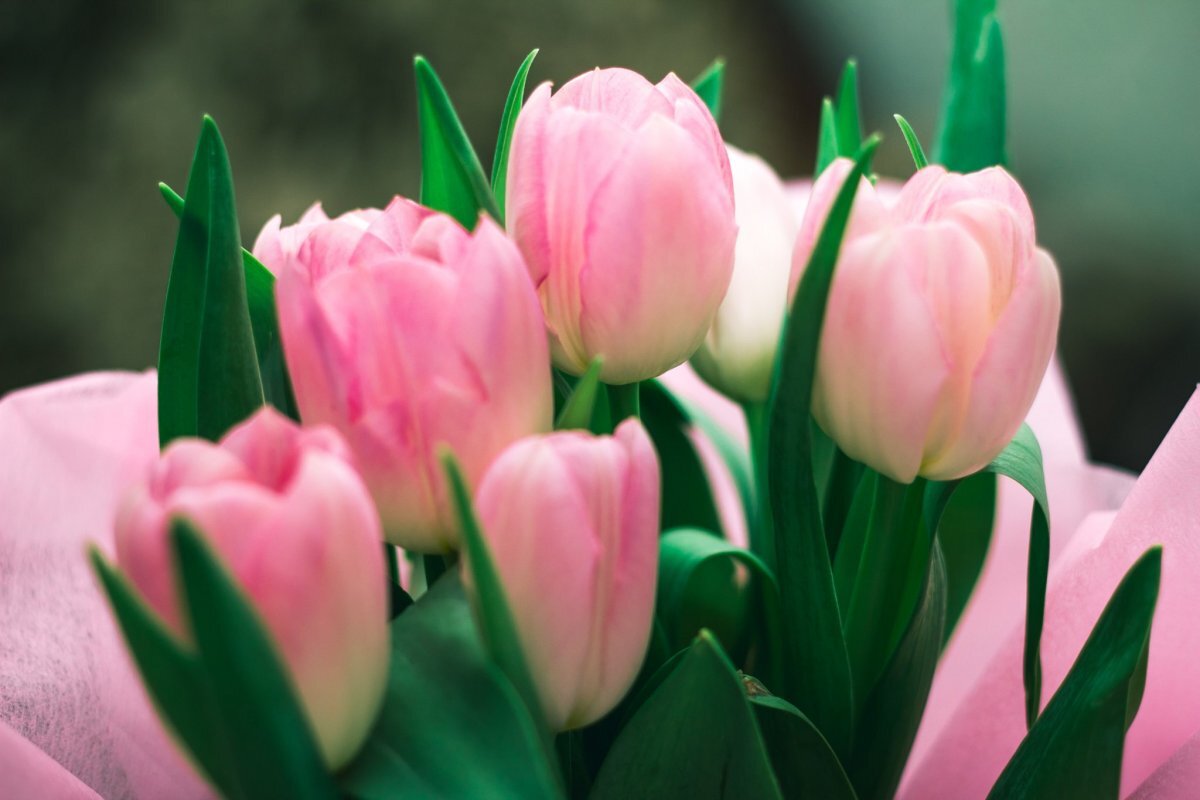 Фото из свободного доступа сети Интернет