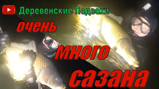 ДЕРЕВЕНСКИЕ ПОДВОХИ. НОВОГОДНИЙ СУПЕР ВЫПУСК. ВСТРЕТИЛИ ОЧЕНЬ МНОГО ОГРОМНЫХ САЗАНОВ.