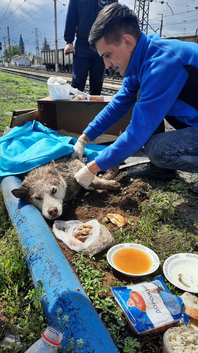 Все группы волонтёров Оренбурга облетела эта новость.