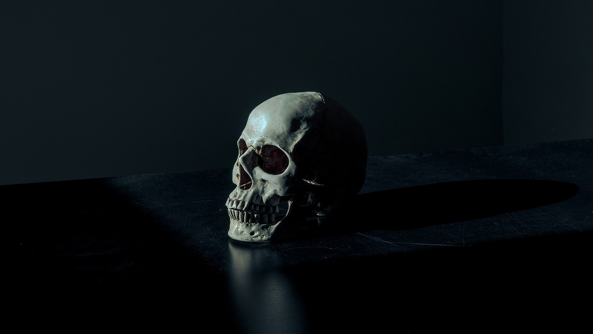 Фото: Pexels / pixabay.com