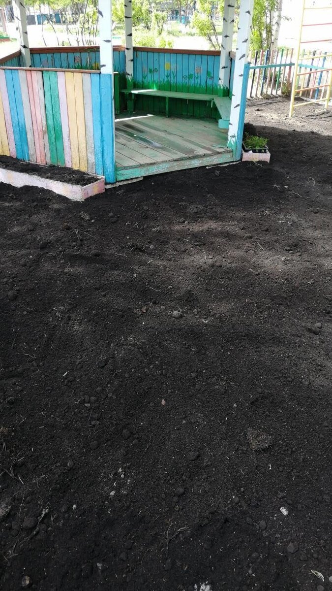 очень гениальное покрытие участка в детском саду