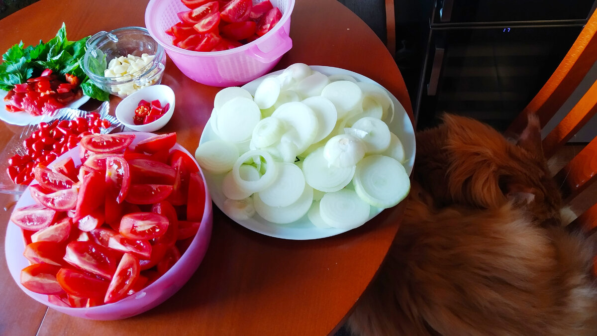 Мейн кун Степа.