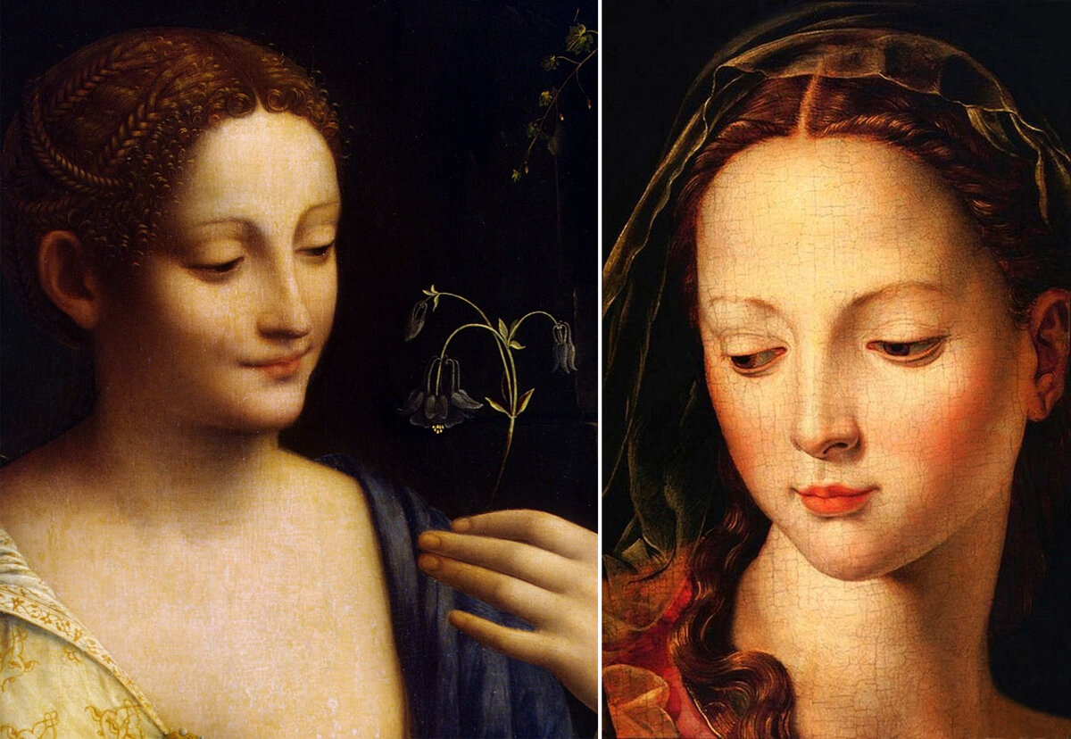 Melzi, Flora, 1520    ,   -       -            ,   . 