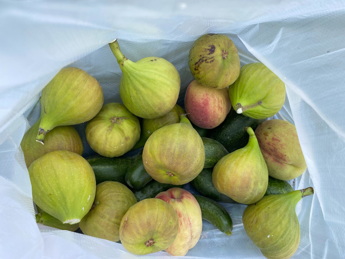 сколько овощей и фруктов вы здесь видите? :)