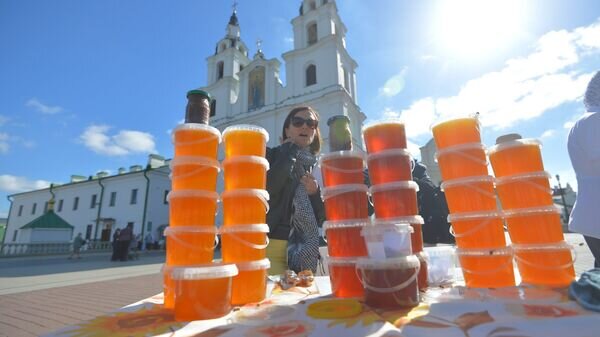    © Sputnik / Виктор Толочко