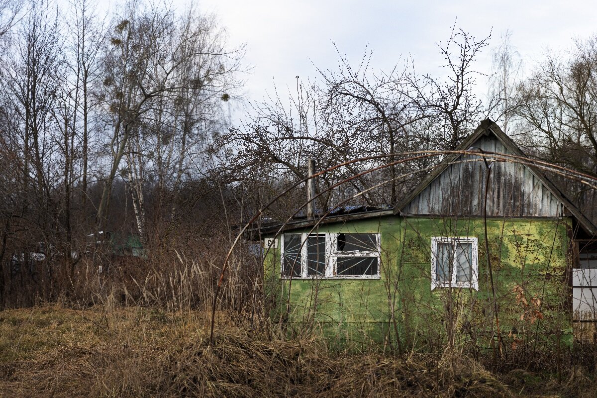 Источник: https://www.freepik.com