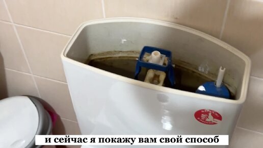 Femdom Рабыня в туалете порно видео - поселокдемидов.рф