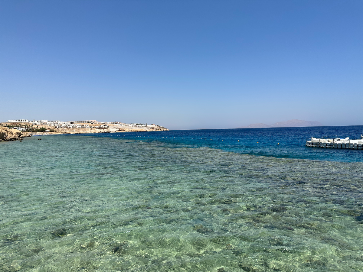 Температура моря в шармаль шейхе сейчас