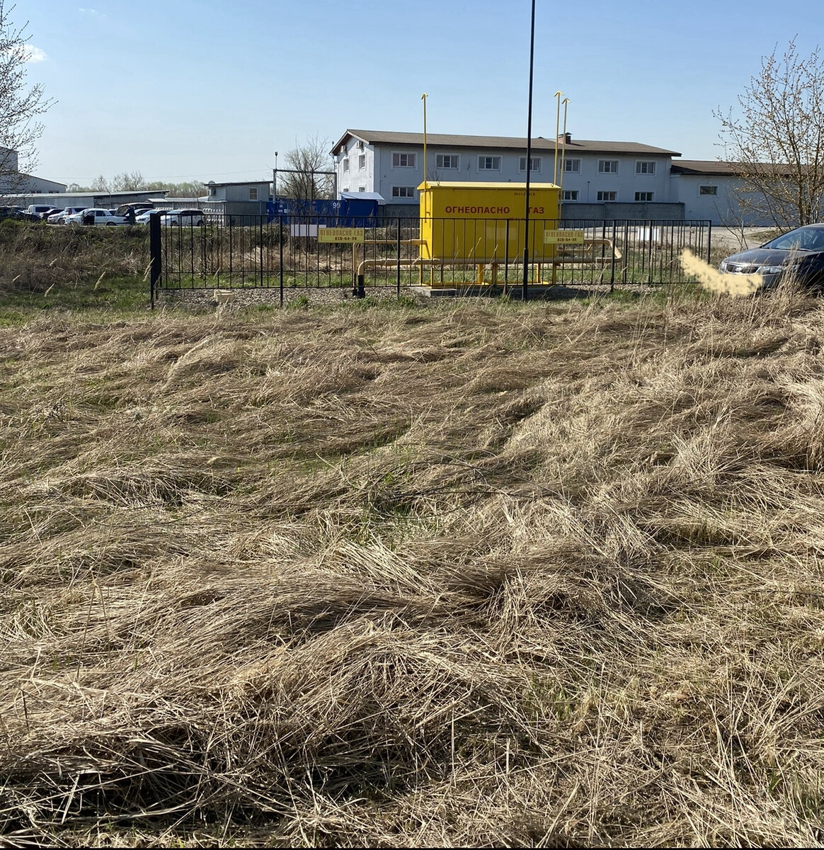 Травяной ковер