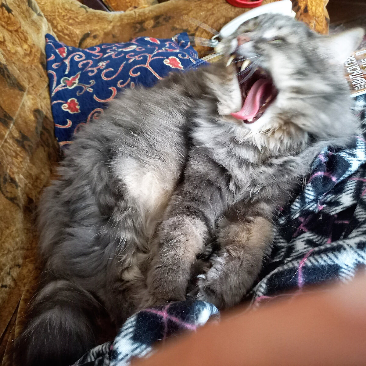 Ну вы помните))))