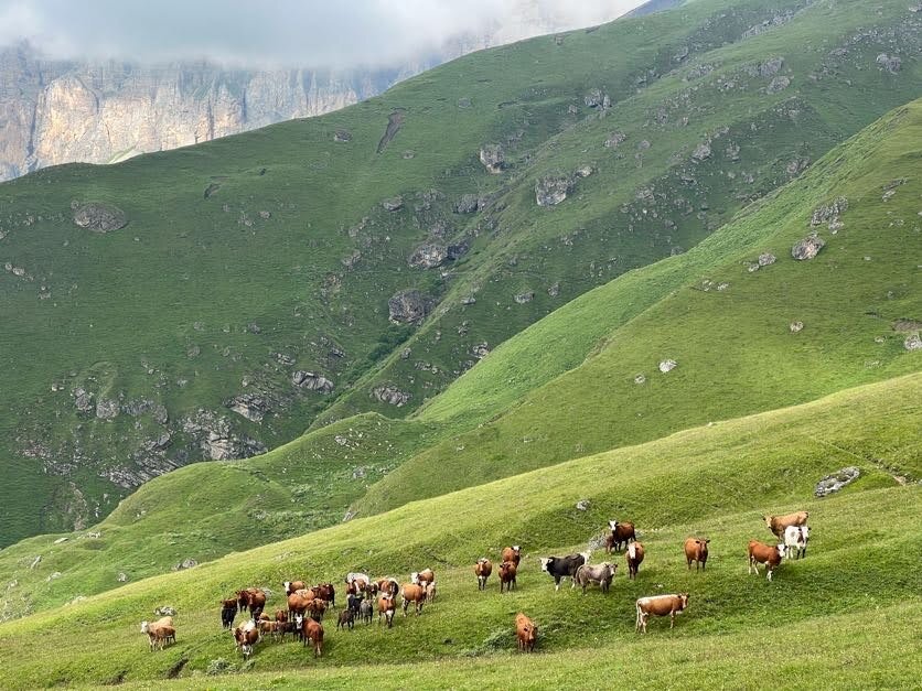 Кавказская тропа Кавказская тропа