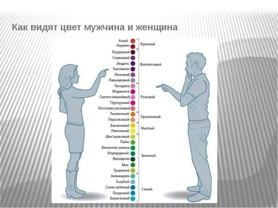 Физическая причина различия цветов окружающих нас. Восприятие цветов мужчинами и женщинами. Восприятие цвета мужчиной и женщиной. Цвета мужчины и женщины. Мужчины и женщины воспринимают цвета.