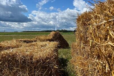    Корма для животных © Пресс-служба Министерства сельского хозяйства и продовольствия Московской области