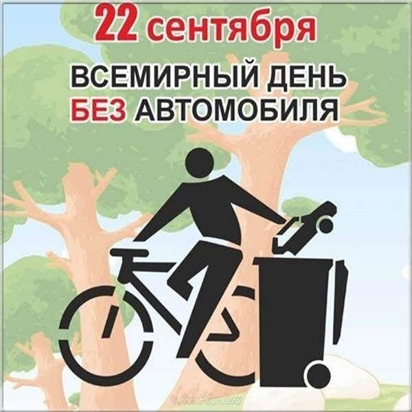 День без автомобиля: Прогулка к более экологичной и здоровой жизни