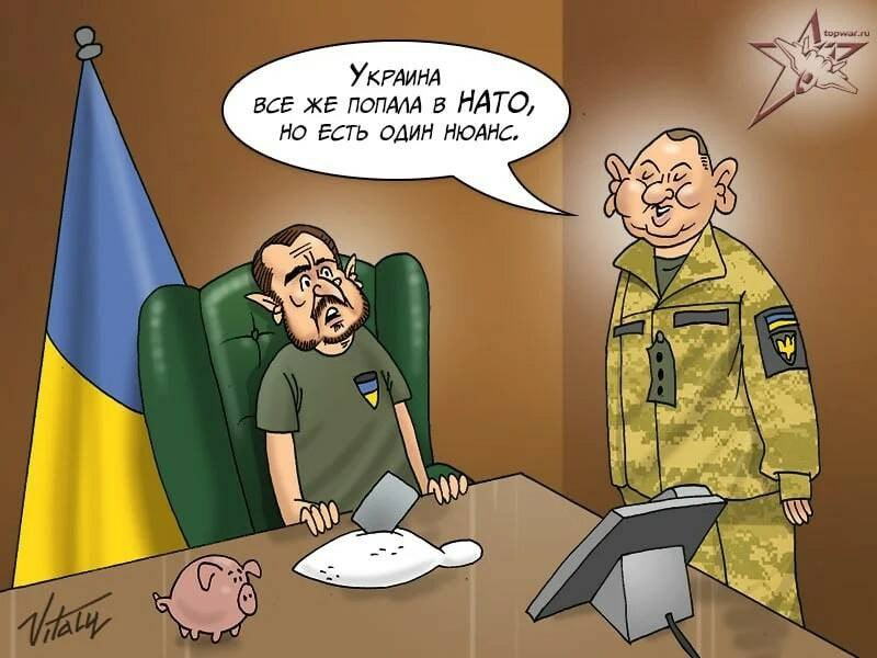 Польша ракеты украины. Карикатуры. НАТО карикатура. Поляки карикатура.