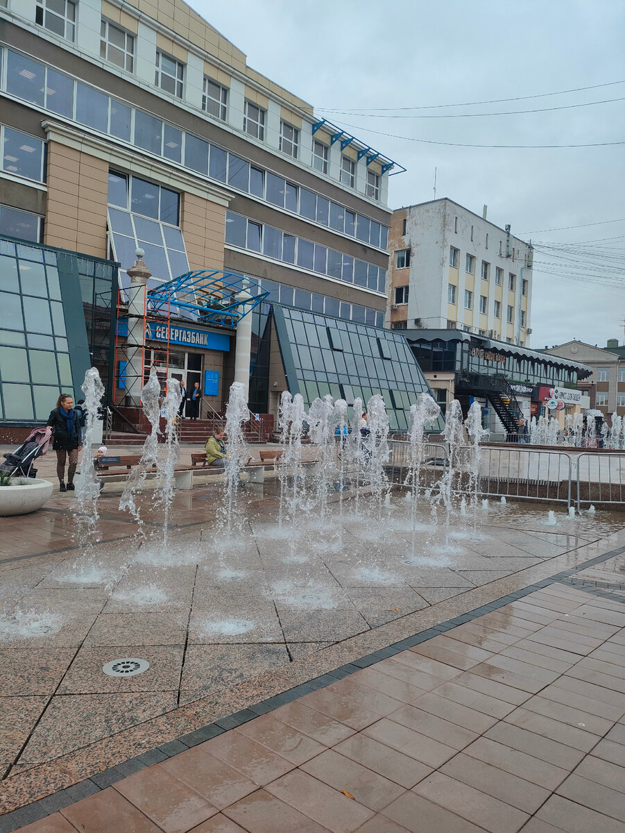 Куда сходить в Вологде: атмосферное кафе в самом центре города | ЯжМамАня |  Дзен