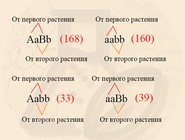 Расщепление при сцепленном наследовании и кроссинговере