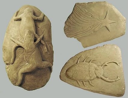 "Окаменелости" Берингера