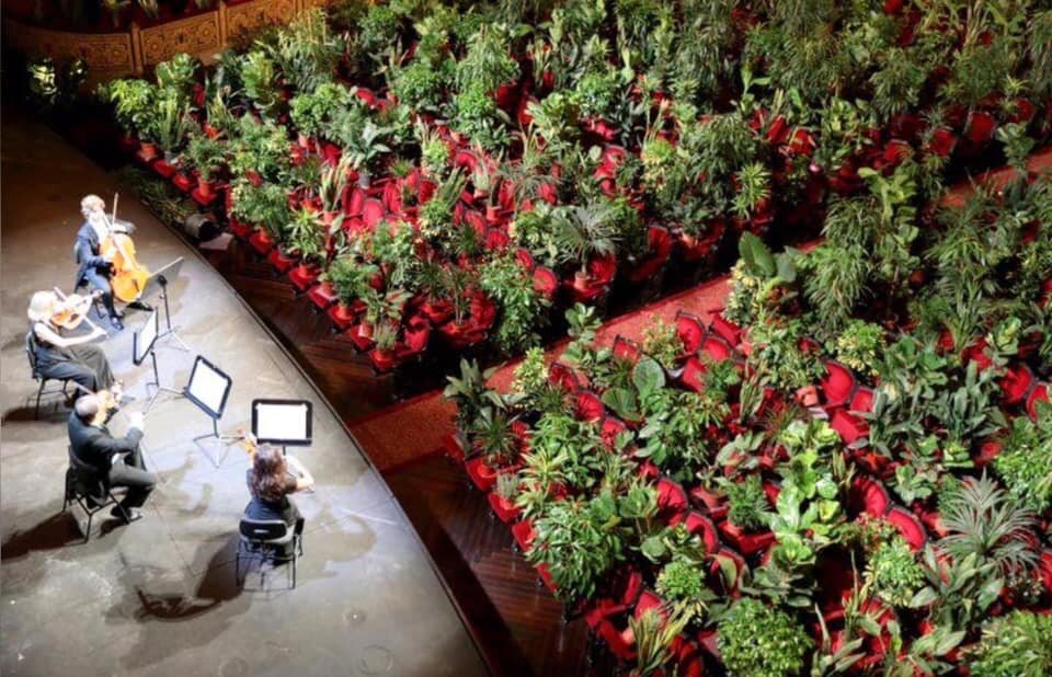 Оперный театр в Испании выступил перед комнатными растениями