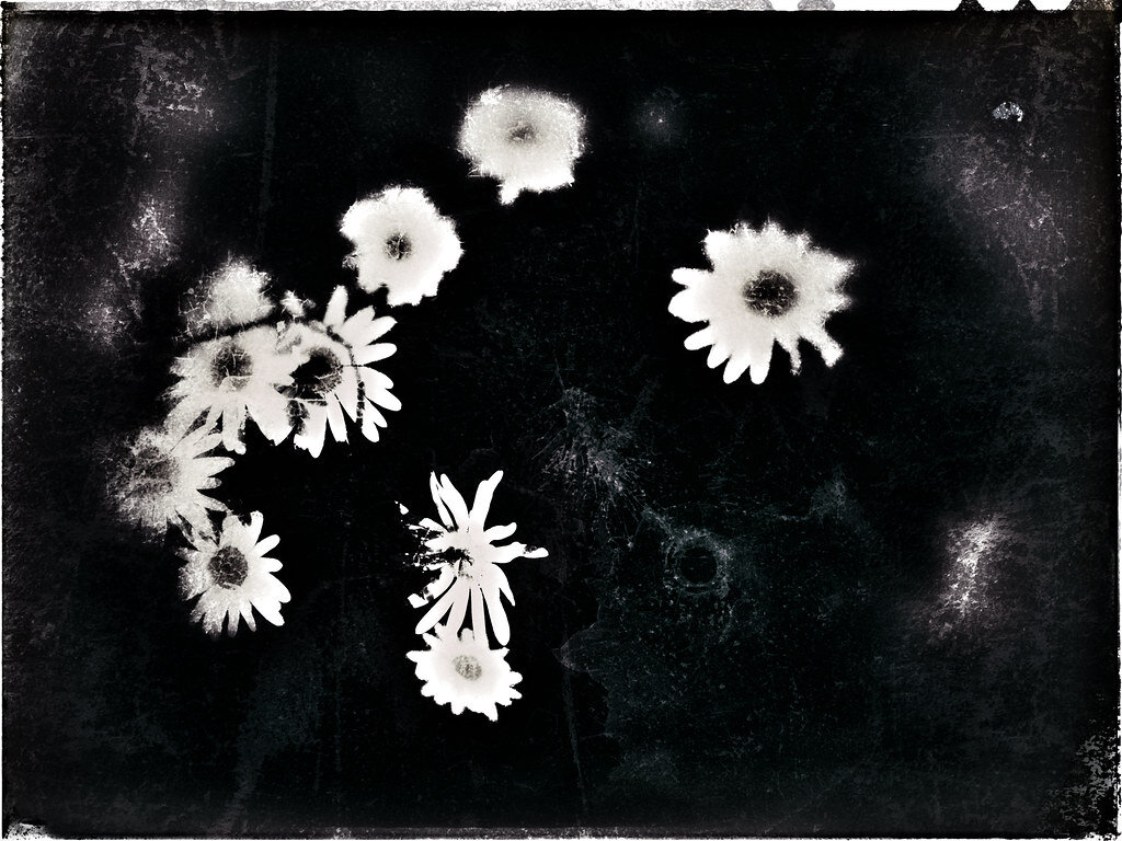 Фото: chrisfriel