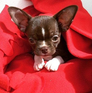 Я проснулся. Фото автора.