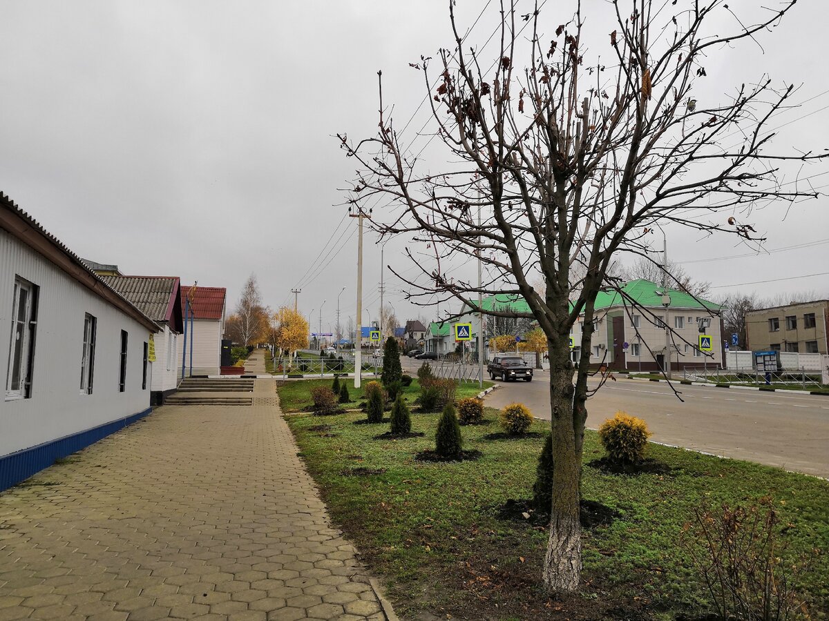 Вейделевка осенью. Центральная улица