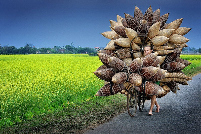 © Ly Hoang Long / Ли Хоанг Лонг