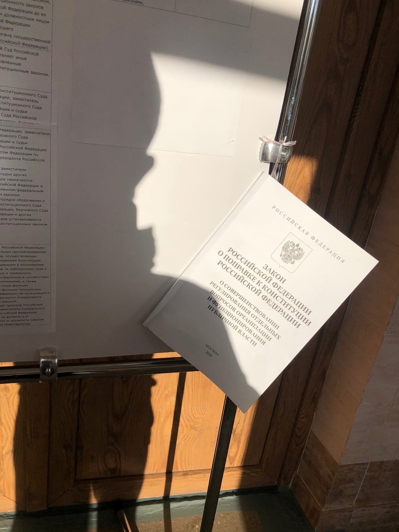 Голосование за поправки в конституции