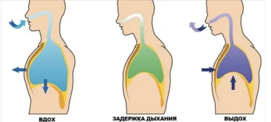 Фридайвинг: Как задержать дыхание на две минуты...Сегодня!