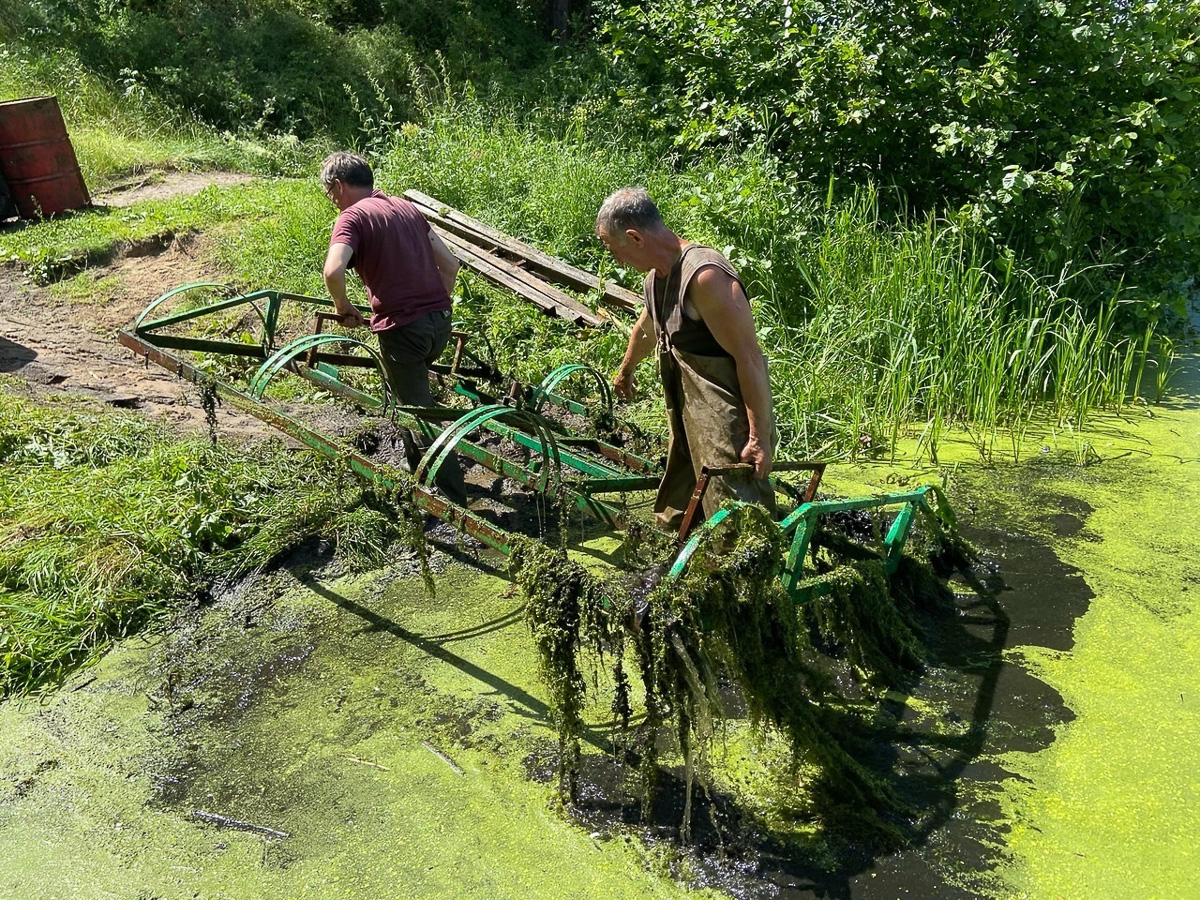 Как избавиться от ряски в пруду. Очистка водоемов. приспособление для сбора ряски. очистка пруда от ряски. комбайны для сбора ряски.