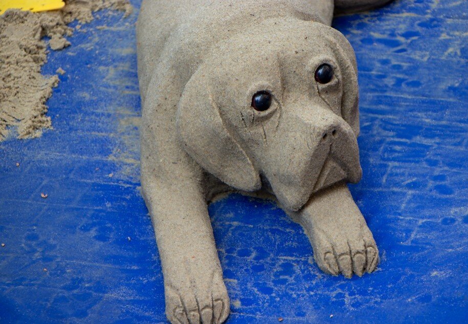 Все фото: Shutterstock.com