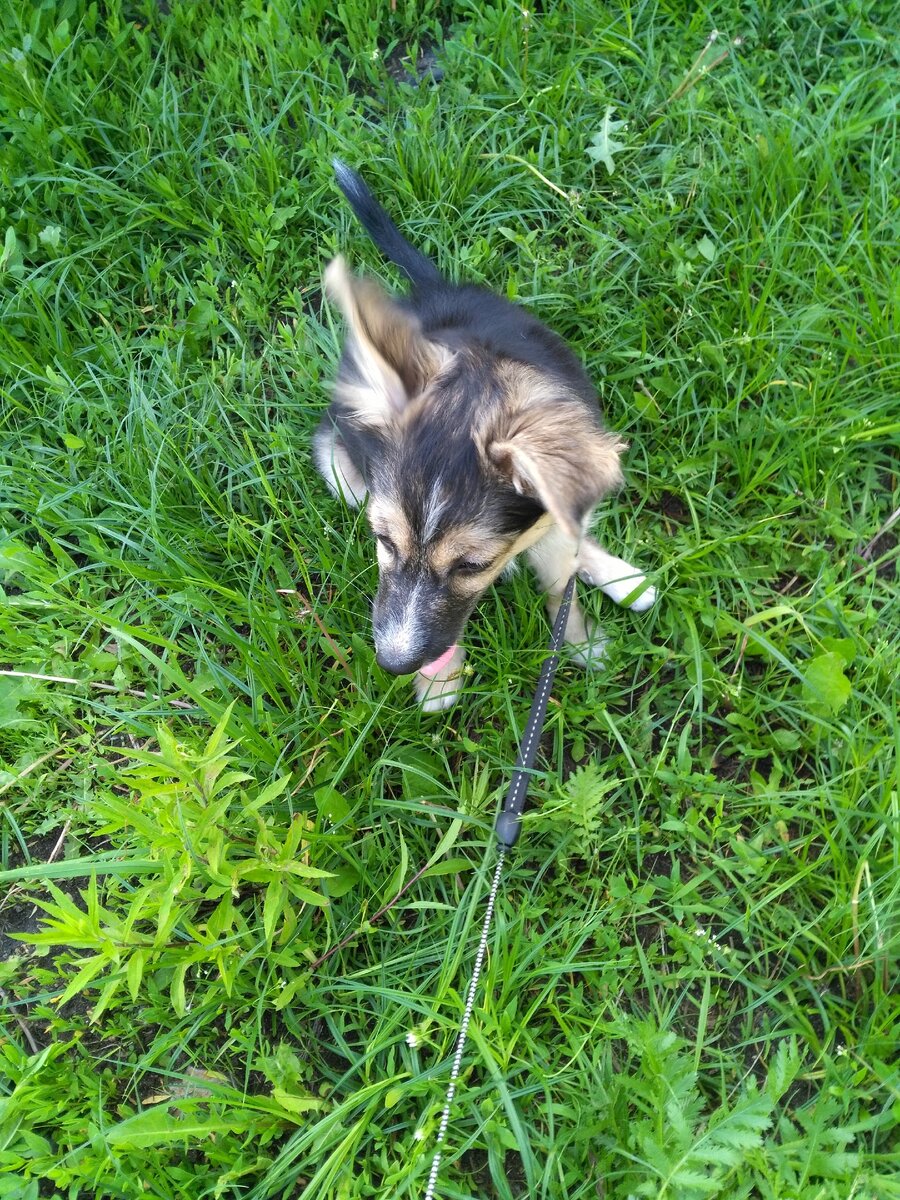 Мира на рулетке