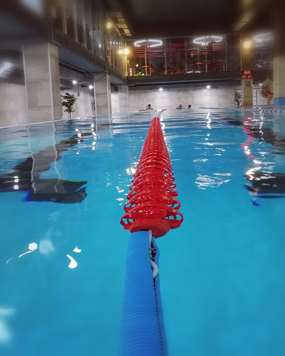 Фотография автора статьи