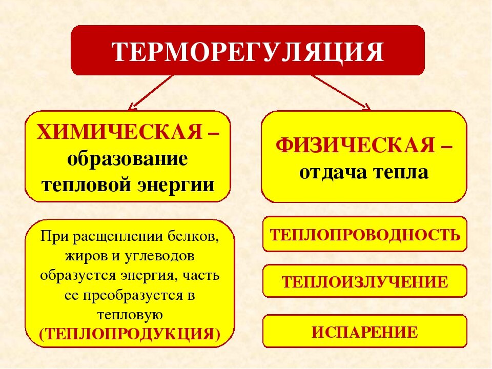 Информация взята из открытых источников в интернете 
