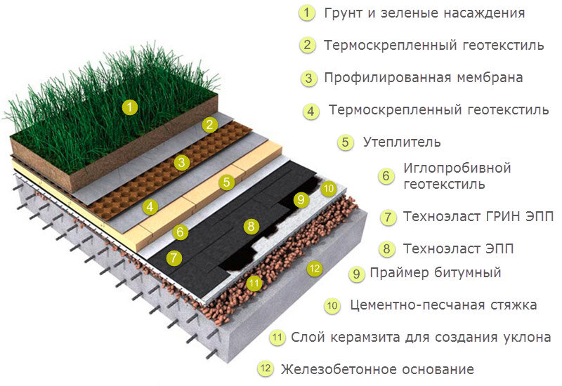 Зеленая кровля план