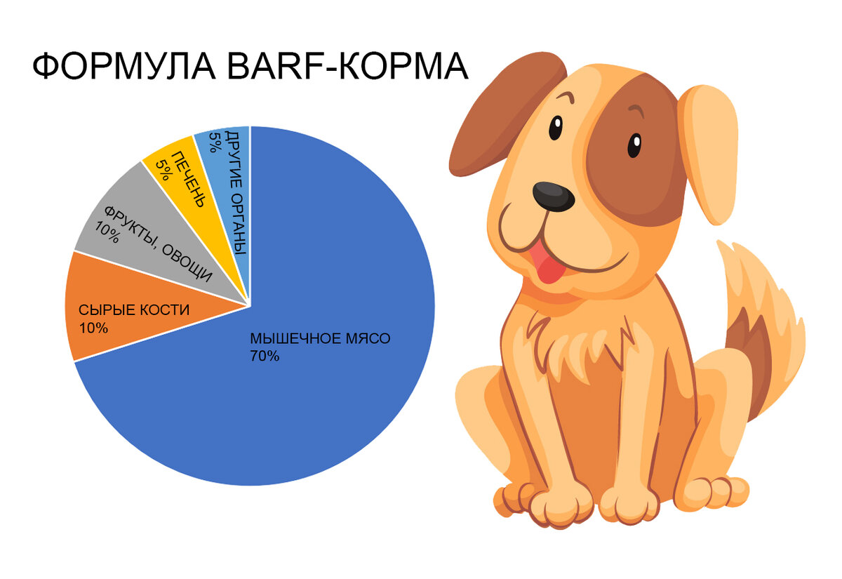 Система барф