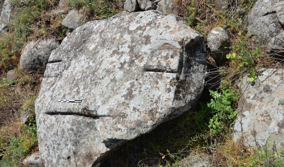 Мегалитический "смайлик", о котором идёт речь. Источник фото: https://www.timesofisrael.com/unprecedented-4200-year-old-rock-art-etching-of-animal-herd-found-in-golan-tomb/