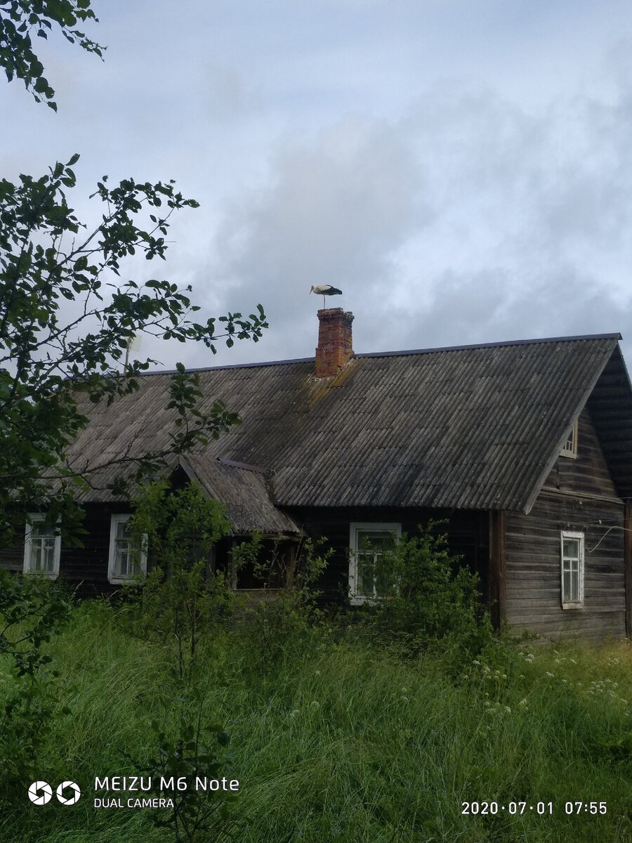 В похожей избе проживал один дед и с тех пор уже минуло множество лет...