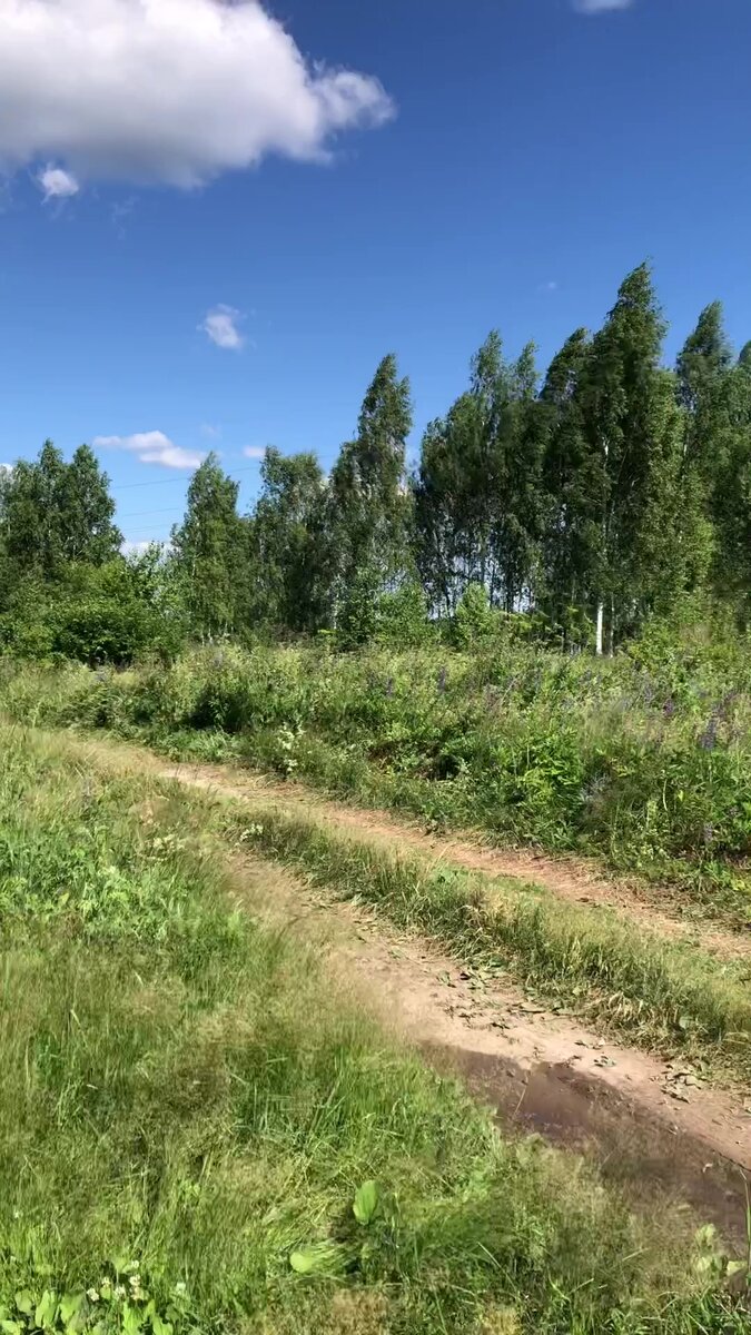 Лужи бывают разные!