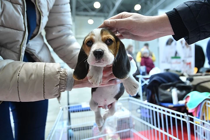 Фото: chel.kp.ru 