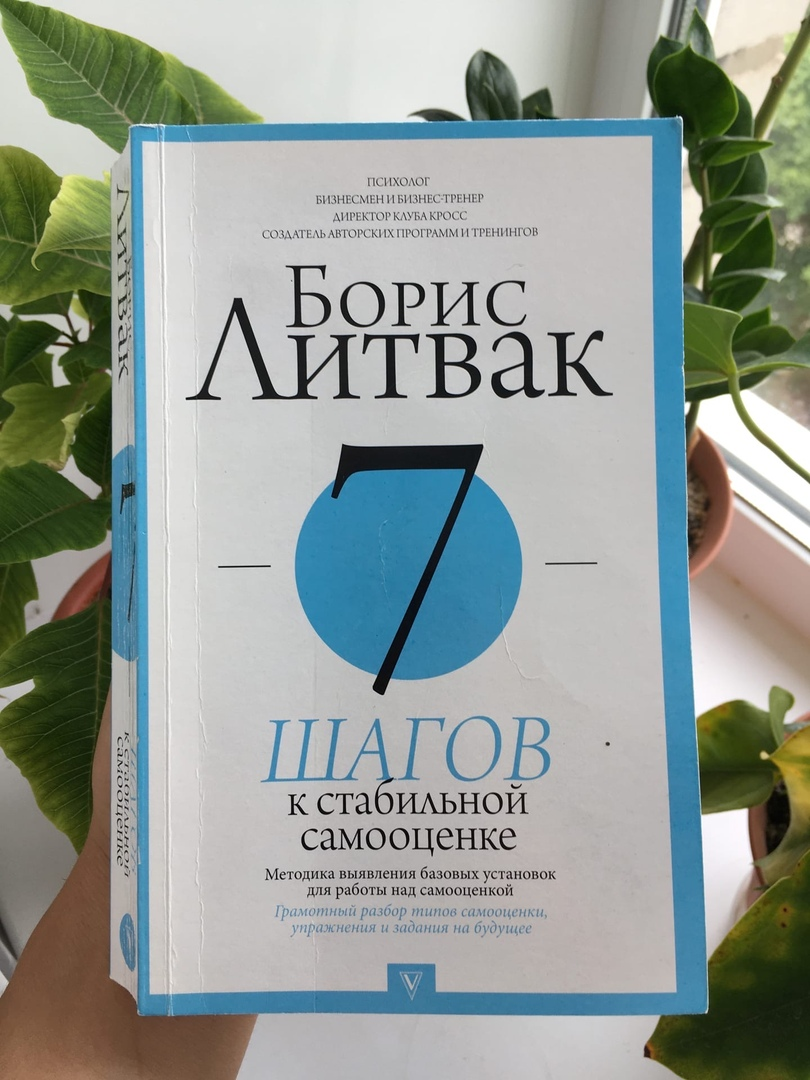 Борис Литвак "7 шагов к стабильной самооценке"