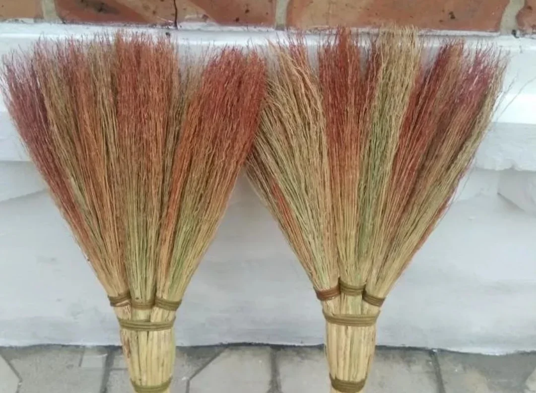 Метла на палке. Веник сорго. Просо веник. Сорго семена веник. Семена сорго веничное.