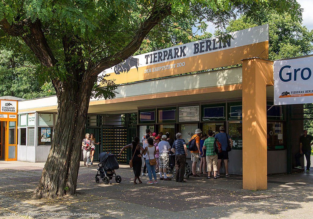 Вот он красавец!