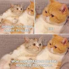 Ты знаешь кому отправить ? 😏 