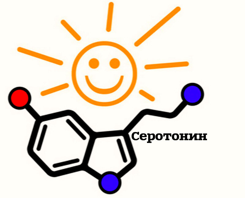 Гормон "радости" - серотонин