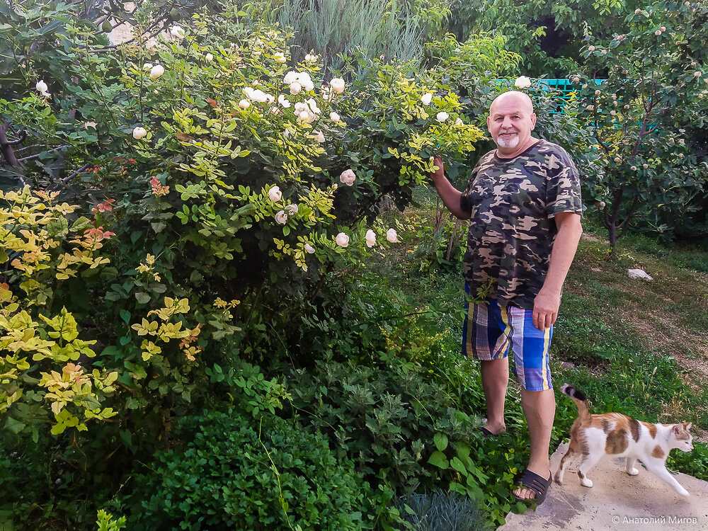 Прогулка по нашему крымскому саду в начале августа