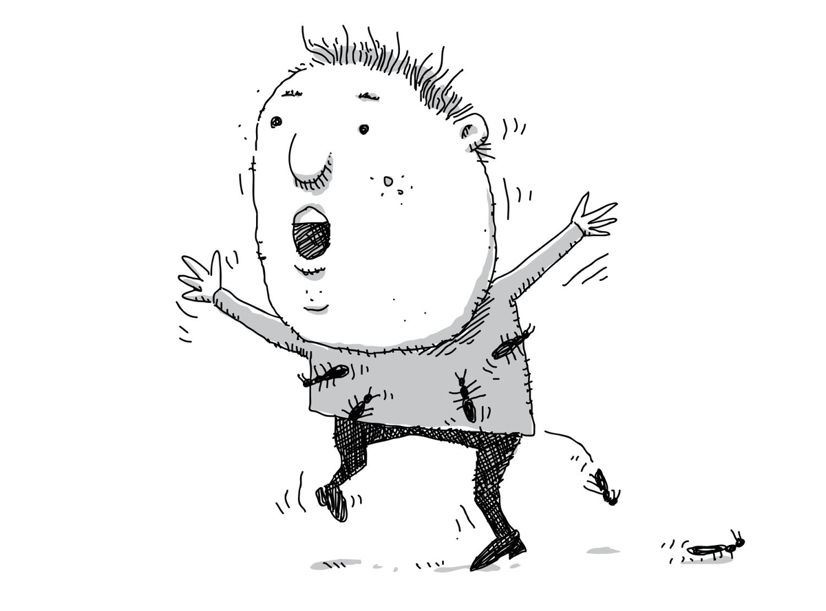 Изображение из открытых источников